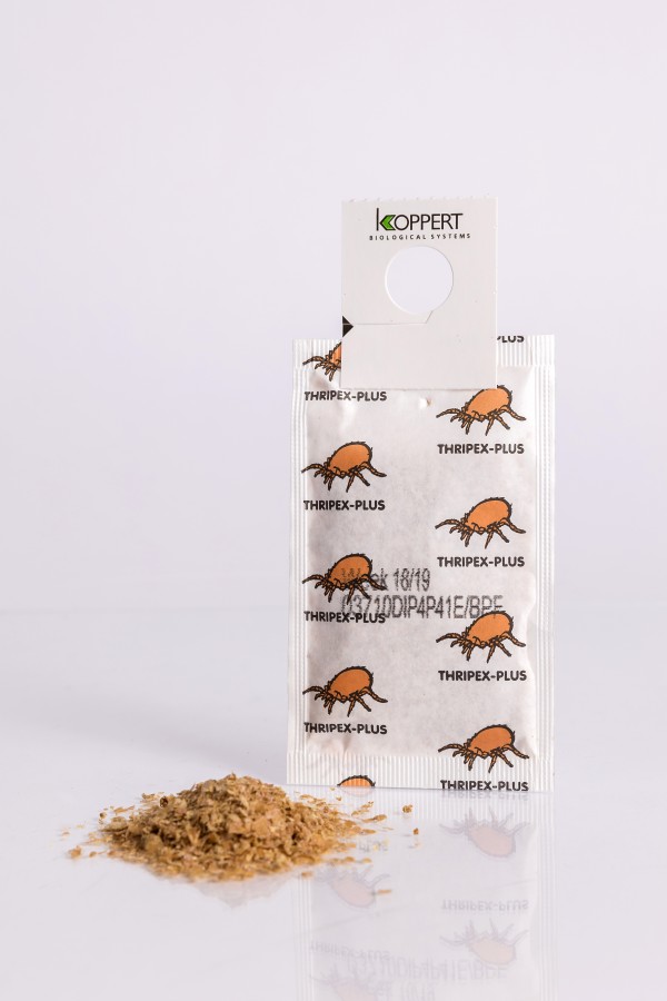thripex_sachet_-_copy_koppert_bv_1