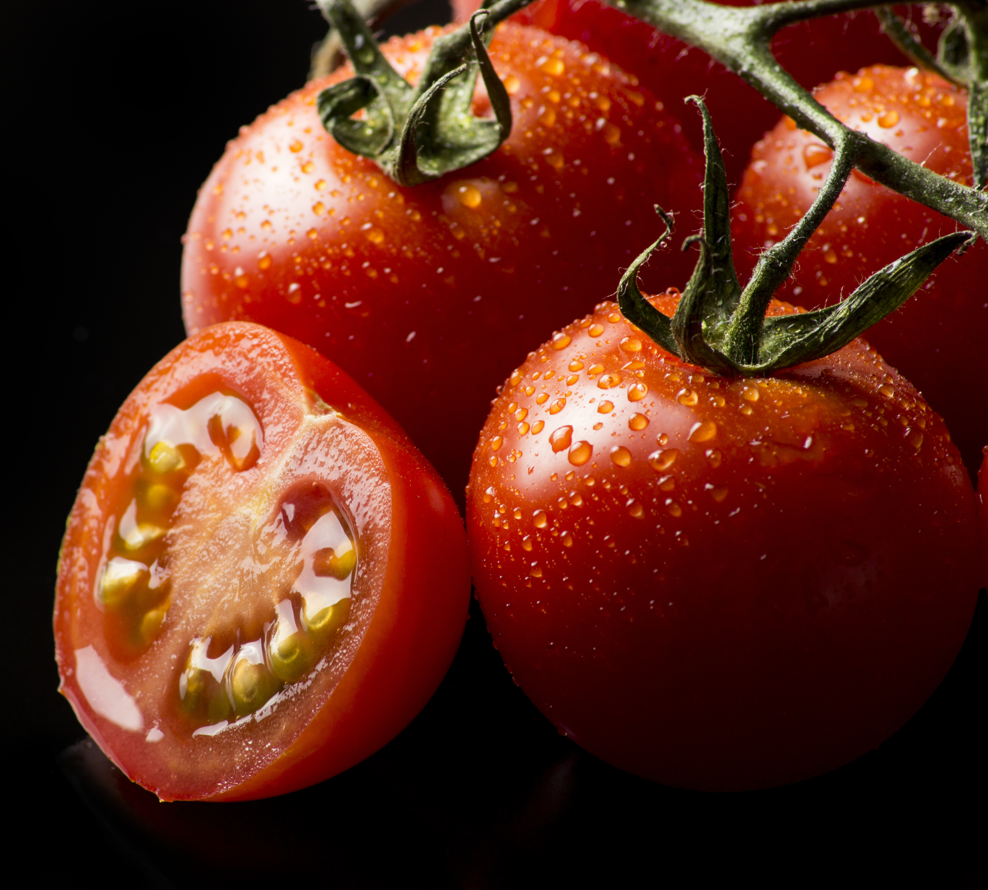 frische Tomaten