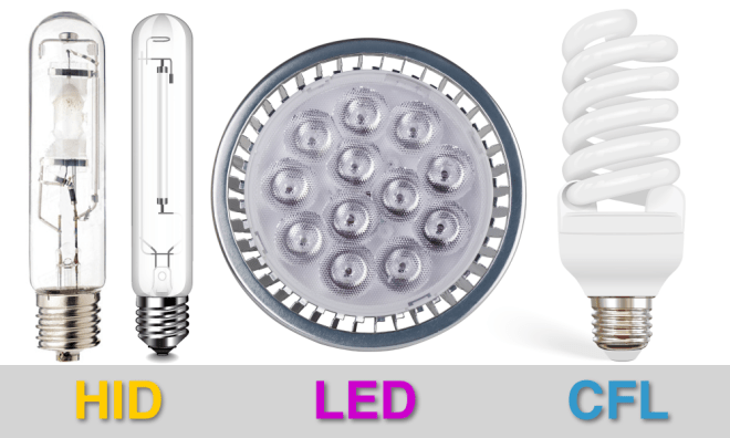 HID LED CFL (1)