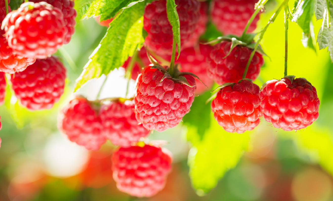 Til mattis nytt format-80